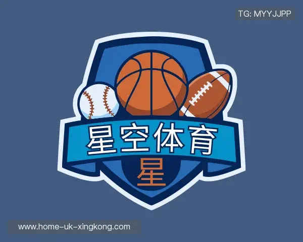 了解xingkong官方入口